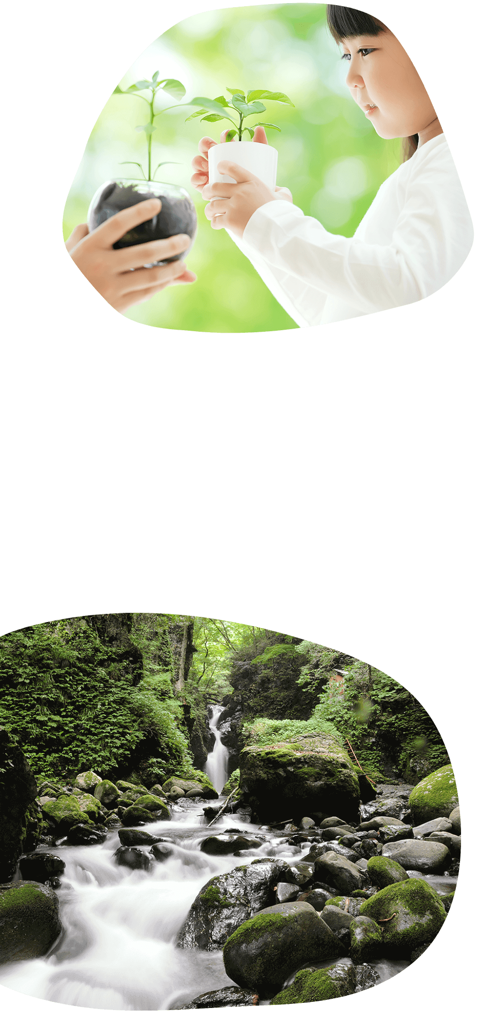 鳥取市が目指すSDGs未来都市計画鳥取市が目指すSDGs未来都市計画